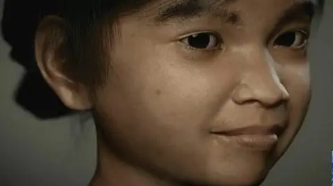 Wirtualna sieć na pedofilów