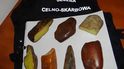 Celnicy udaremnili przemyt bursztynu