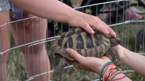 People with disabilities have the zoos all for themselves on the Night of Dreams