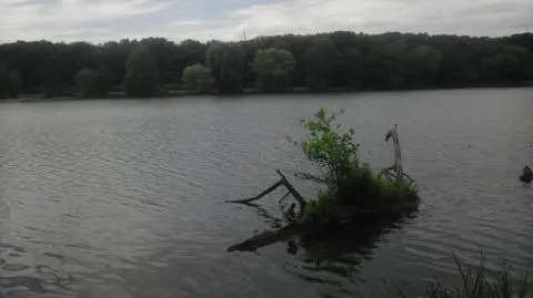 Zwłoki nad Rusałką