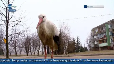 25.02 | "Meteo News"