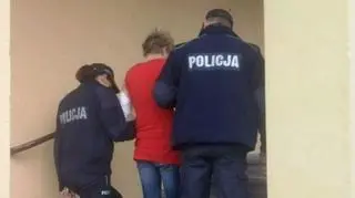 Kobieta przyznała się do winy