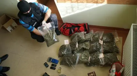 Marihuana z Holandii w gospodarstwie. 
Przemytnicy zatrzymani