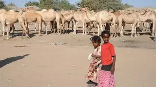 Władze Somalii ogłosiły pod koniec lutego "katastrofę naturalną" 