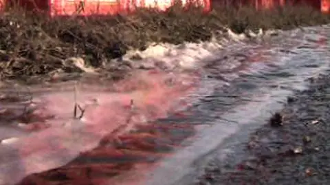 Ziemia spłynęła piwem