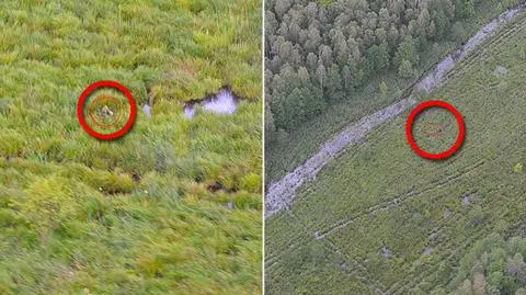 Dwa dni błąkał się na bagnach. Odnalazł go samolot