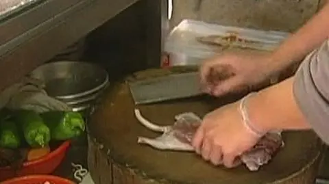 Restauracja serwuje tylko szczurze mięso