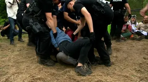 Activists from Białowieża Forest won't be punished for protest against logging