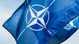 Some 60 NATO jets, mainly from European allies, are on alert to defend alliance airspace
