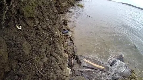 Makabryczne znalezisko