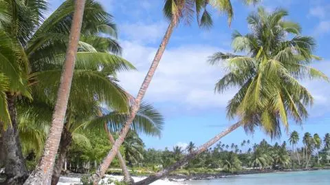 Wycieczka życia górniczych dyrektorów za nieswoje pieniądze