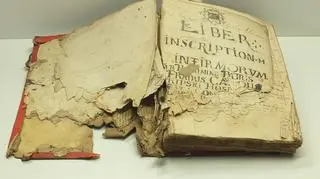 Księgi są unikatową dokumentacją medyczną i źródłem historycznym