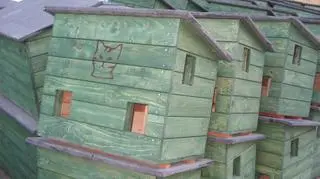 Do Gdańska trafi ok. 100 domków dla kotów