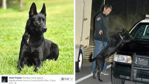 Pies Lucas uratował policjanta