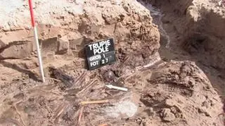 Posłowie chcą uchwały ws. rzezi wołyńskiej 