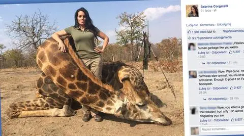 Sabrina Corgatelli. Polowanie na zwierzęta