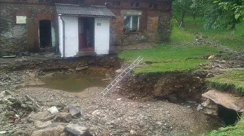 Leśna liczy straty po nawałnicach. "Nawet 40 mln zł"