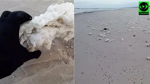 Parafina na plaży w Lubiatowie i Stilo