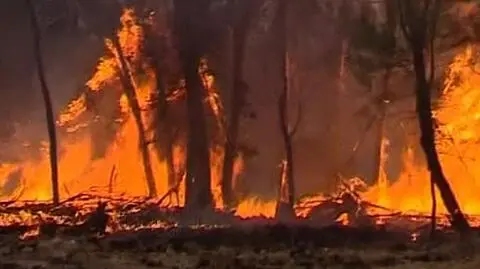 Australia w płomieniach