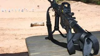 Karabiny wywodzące się z M-16 cieszą się wielką popularnością