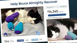 W trzy dni internauci zebrali ponad 14 tys. dol.