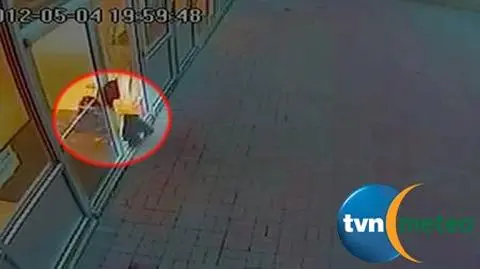 Miś włamał się do szkoły i podarł podręczniki