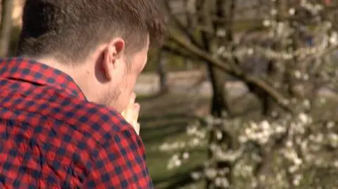 Liczba alergików cały czas rośnie