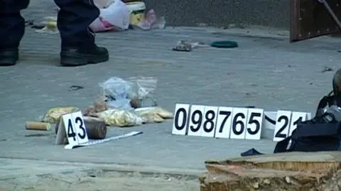 Saperzy opróżnili domowy arsenał