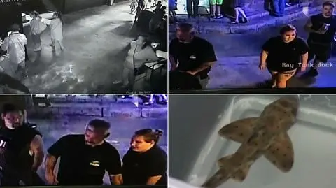 Kradzież rekina z oceanarium w Teksasie