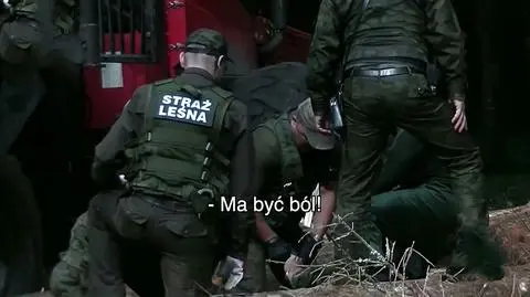 Brutalna akcja straży leśnej w Białowieży