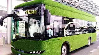 Solaris Urbino Electric 