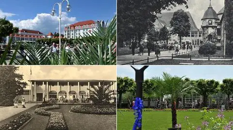 W Sopocie jak przed wojną.
Palmy wróciły przed molo