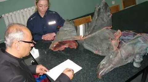 Ukradli fragment pomnika Orląt Lwowskich. Wpadli niedaleko skupu złomu