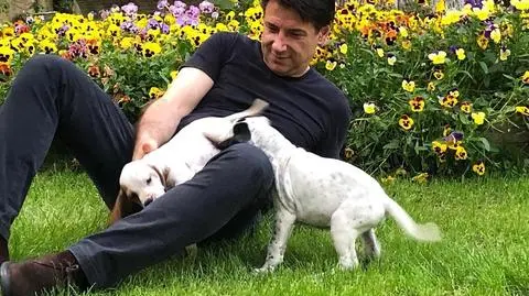 Conte przestrzega koalicjantów przed rzucaniem wyzwania UE