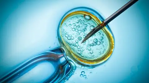 Episkopat o podpisaniu ustawy o in vitro