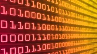 USA zbroją się przeciw cyberprzestępczości