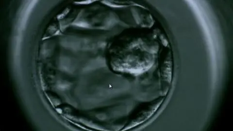 In vitro po raz trzeci