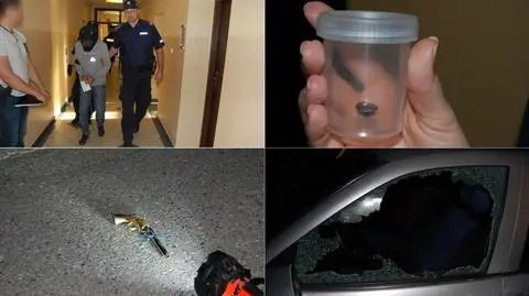 Tarnowskie Góry. Napad z bronią na drodze