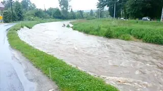 Ciało 60-latki znaleziono w Potoku Miłoszowskim w Leśnej na Dolnym Śląsku