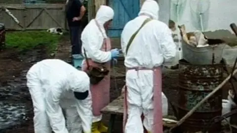 Ptasia grypa nęka nie tylko Polskę