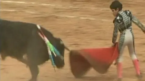 11-letni pogromca byków