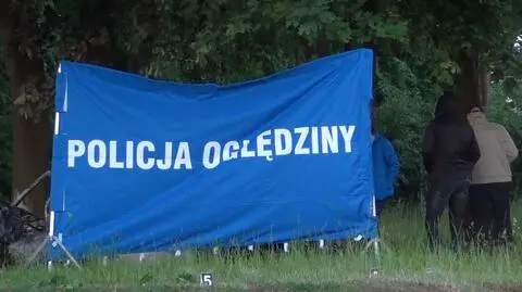 Uderzyła w drzewo, jej auto stanęło w płomieniach