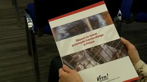 Organizacje broniące praw zwierzą alarmują