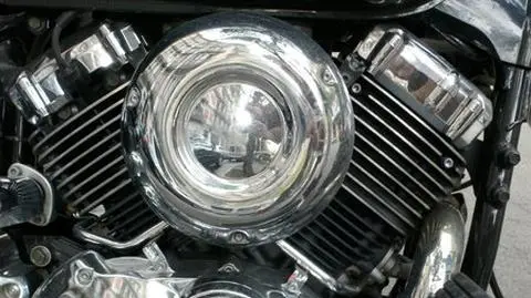 Szczeniak, pośladki i Hells Angels