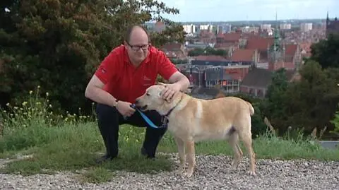 Zwierzęta zamiast samolotów. Adamowicz zachęca do adopcji