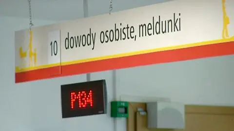 Meldunkowa rewolucja