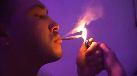 Polska liderem akcji ws. legalizacji marihuany. Daliśmy dotąd 45 tys. podpisów