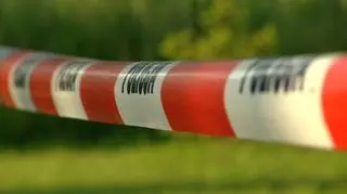 policja