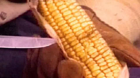 "Wszyscy jemy GMO"