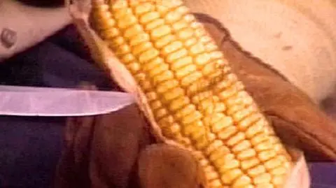 "Wszyscy jemy GMO"